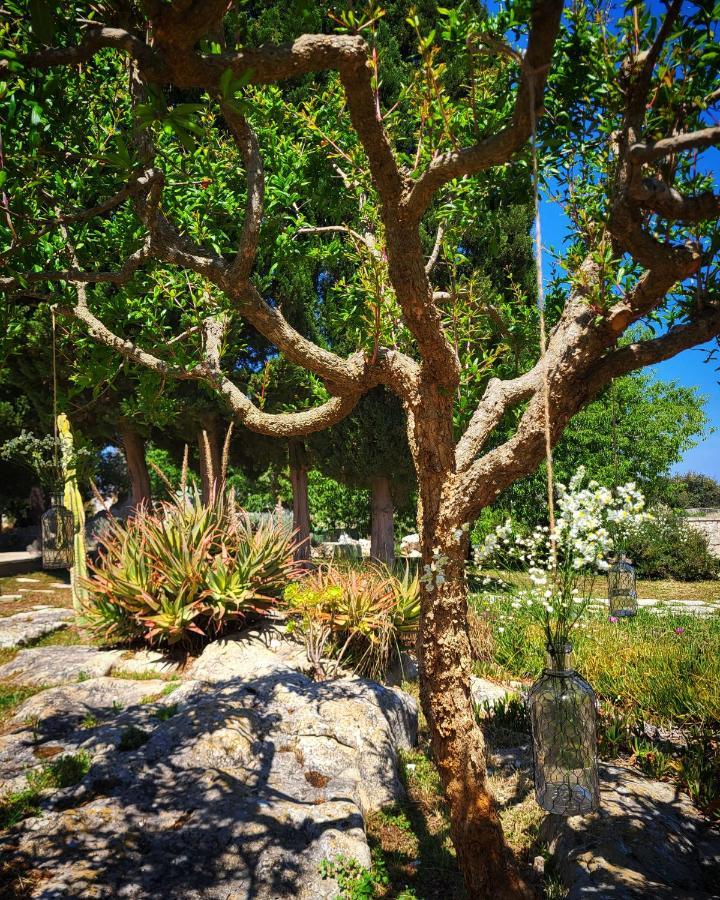 Masseria San Cosimo 카르피냐노 살렌티노 외부 사진